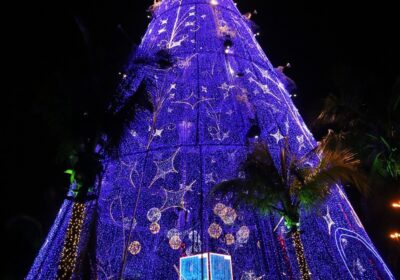 Árvore de Natal Gigante em Niterói já está iluminada e pode ser vista por quem passa pela Baía de Guanabara