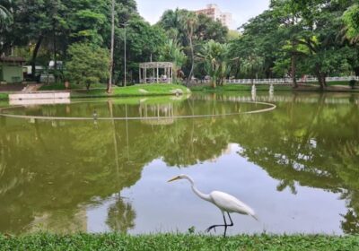 Seconser inicia a limpeza nos lagos do Campo de São Bento