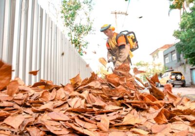 Clin utiliza equipamentos especiais para a remoção de folhas de árvores em Niterói