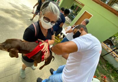 Vacinação antirrábica chega aos bairros da Zona Norte de Niterói neste sábado (08)