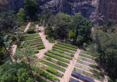 Clin amplia número de projetos sustentáveis em Niterói em 2022