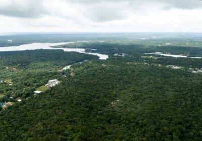 Desmatamento na Amazônia tem queda de 68% em abril em relação a 2022