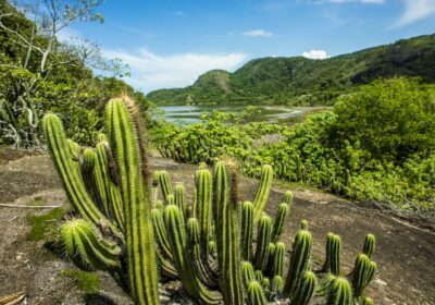 Concurso fotográfico da Prefeitura de Niterói quer mostrar olhar da população em áreas de preservação