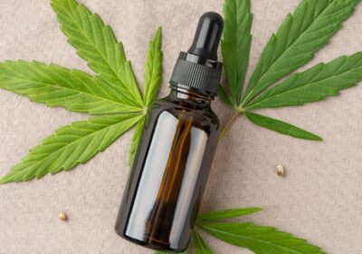 Tratamento com cannabis medicinal: passo a passo da consulta à compra do medicamento