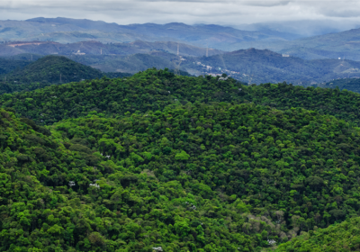 Prefeitura de Niterói lança Plano Municipal da Mata Atlântica com ações para os próximos 10 anos