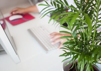 Prefeito Rodrigo Neves dá início à liberação dos recursos do Niterói Empreendedora