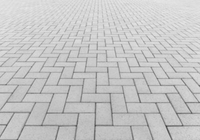 Guarda Ambiental resgata cobra de 2,5 metros em área urbana de Piratininga